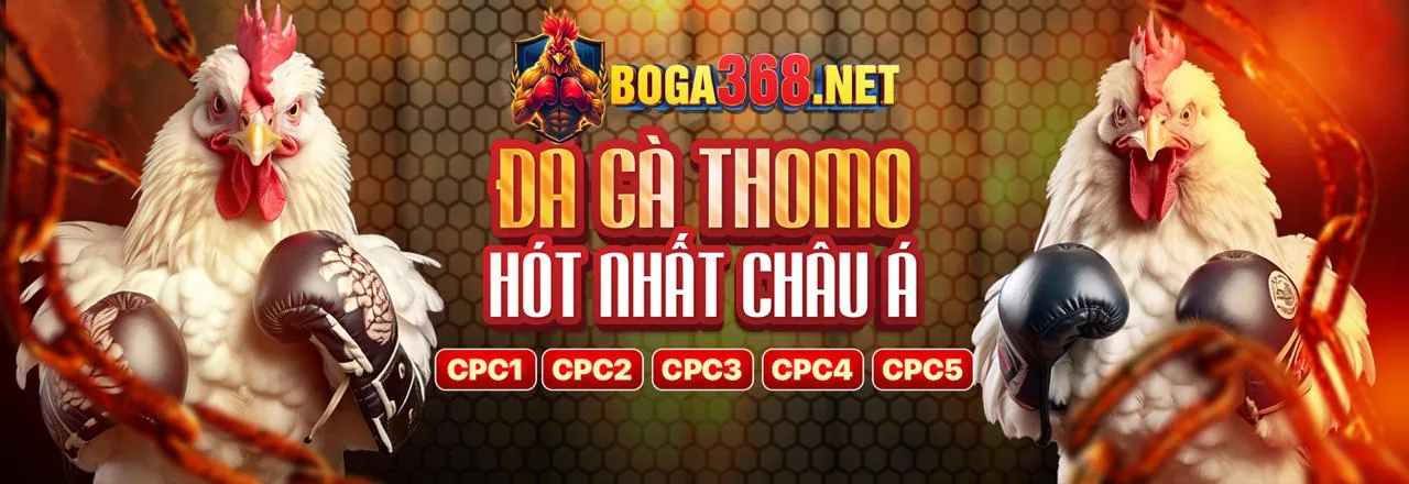 Đá gà trực tuyến sôi động tại OKVIP Trang Chủ